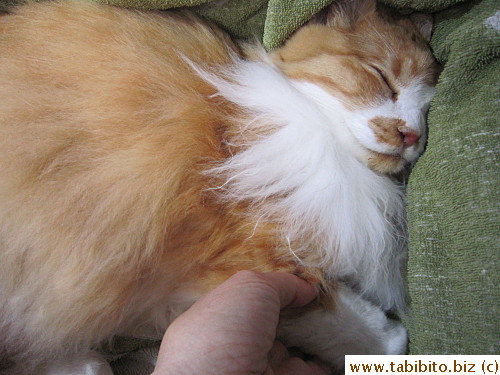 Holding his hand for the last time