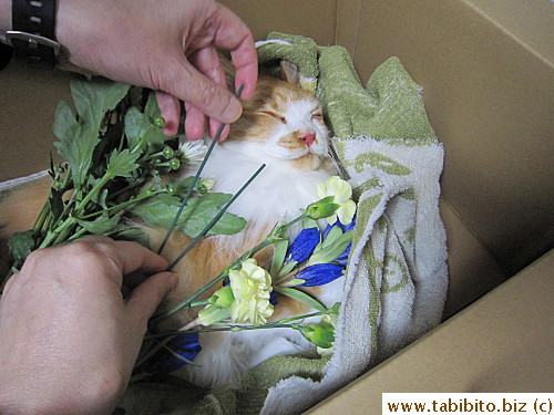 He gave us incense to be cremated with Efoo